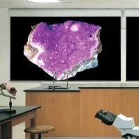 Draper Silhouette/E HDTV (9:16) 165/65" 81*144 XT1000E (МW) ebd 12"