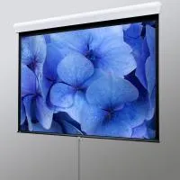 Draper Silhouette/M NTSC (3:4) 244/96" 152*203 XT1000E (MW)