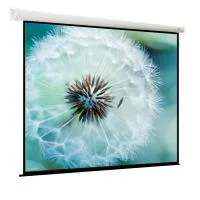 ViewScreen Breston (16:9) 274*274 (266*149.5) MW