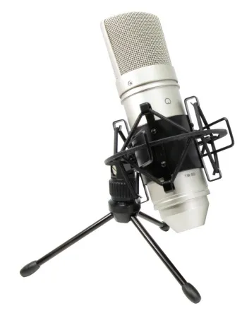 Купить Tascam TM-80 по выгодной цене в Сочи