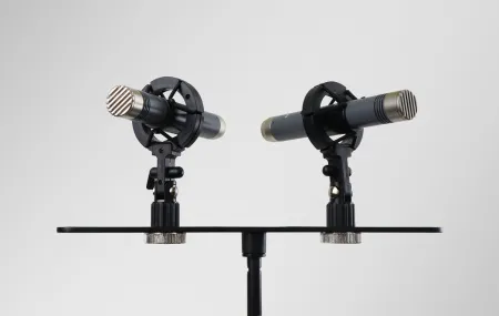 Купить AuraSonics AP22-MP по выгодной цене в Сочи