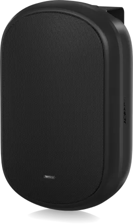 Купить Tannoy DVS 601 по выгодной цене в Сочи