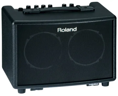 Купить ROLAND AC-33 по выгодной цене в Сочи