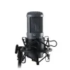 AuraSonics AD22S STEREO