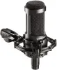 Купить Audio-Technica AT2035 по выгодной цене в Сочи