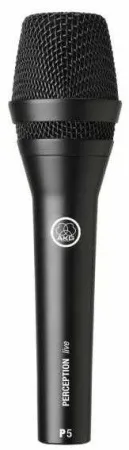 Купить AKG P5S по выгодной цене в Сочи