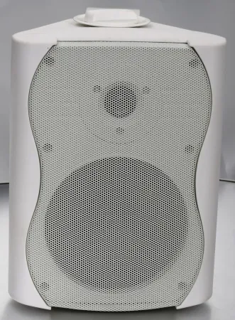 Купить SVS Audiotechnik WS-40 White по выгодной цене в Сочи