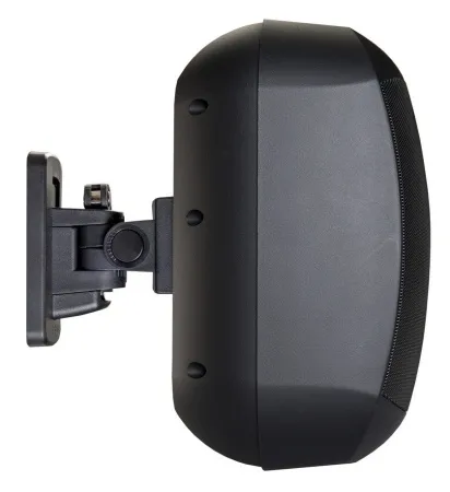 Купить BIAMP MASK6C-BL по выгодной цене в Сочи
