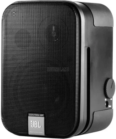Купить JBL Control 2P/230 по выгодной цене в Сочи