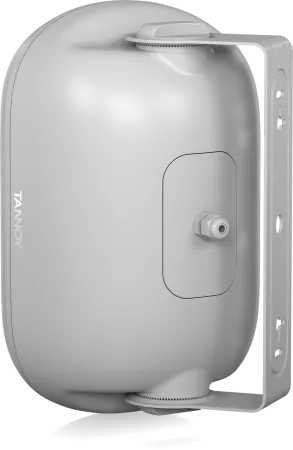 Купить Tannoy DVS 401-WH по выгодной цене в Сочи
