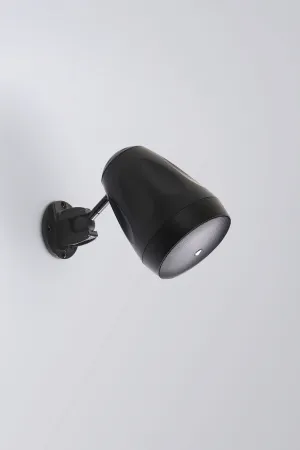 Купить AuraSonics FLORET-4T по выгодной цене в Сочи