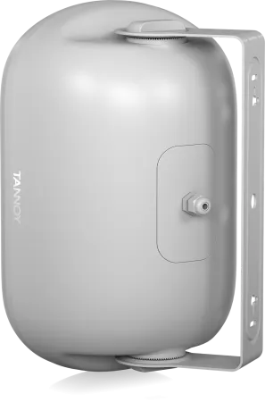 Купить Tannoy DVS 601-WH по выгодной цене в Сочи
