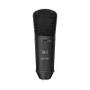 Купить BEHRINGER B-1 DARK EDITION по выгодной цене в Сочи