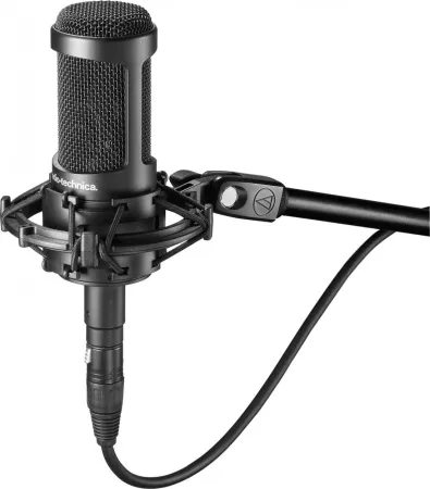 Купить Audio-Technica AT2035 по выгодной цене в Сочи