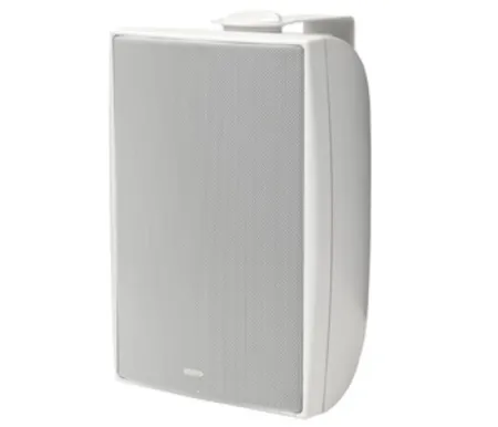 Купить TANNOY DVS 6 по выгодной цене в Сочи