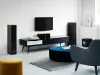 Купить DALI GRILLE SPEKTOR 6 BLACK по выгодной цене в Сочи