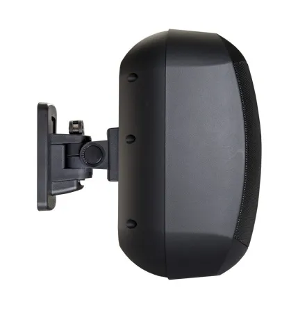Купить BIAMP MASK6CT-BL по выгодной цене в Сочи