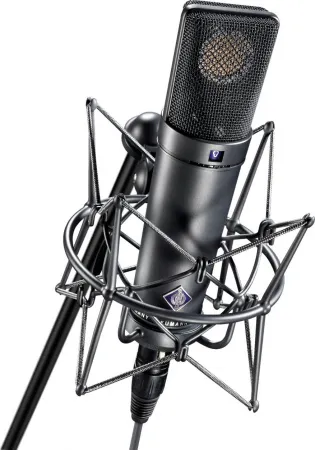 Купить NEUMANN U 89 i по выгодной цене в Сочи