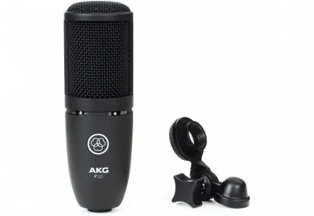 Купить AKG P120 по выгодной цене в Сочи