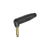 ROXTONE RJ2RP-BG