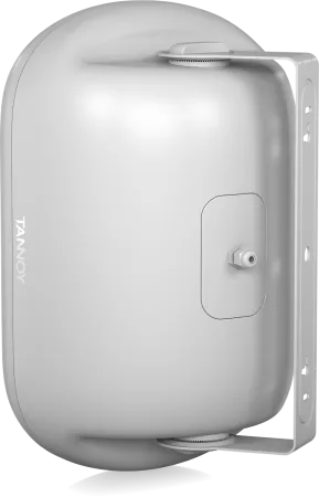 Купить Tannoy DVS 801-WH по выгодной цене в Сочи