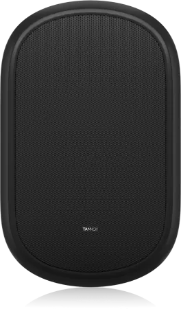 Купить Tannoy DVS 401 по выгодной цене в Сочи
