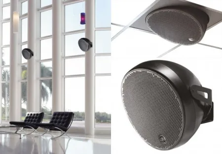 Купить DAS Audio OVI 12 по выгодной цене в Сочи