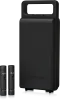 Купить BEHRINGER C-2 DARK EDITION по выгодной цене в Сочи