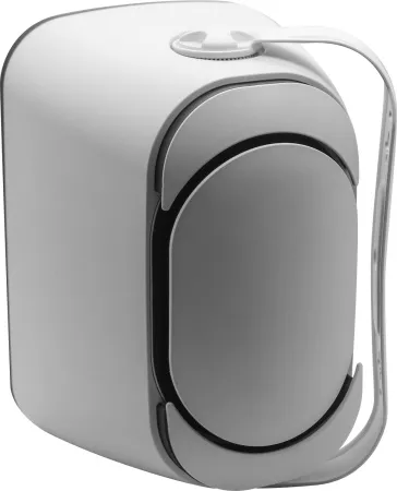 SVS Audiotechnik PAF-5W Pro