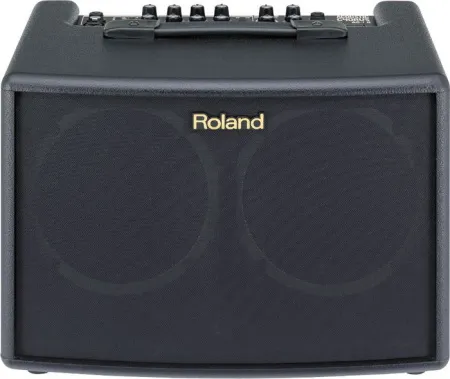 Купить ROLAND AC-60 по выгодной цене в Сочи