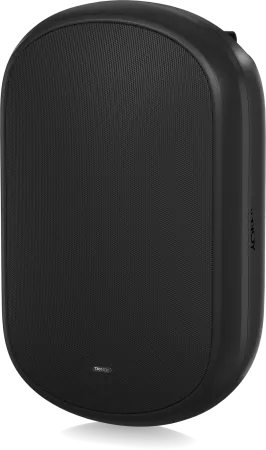 Купить Tannoy DVS 801 по выгодной цене в Сочи