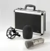 Купить BEHRINGER B-2 PRO по выгодной цене в Сочи