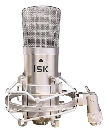Купить ISK BM-800 по выгодной цене в Сочи