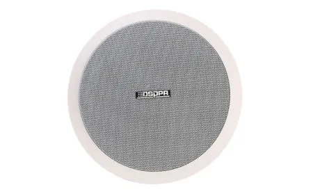 Купить DSPPA DSP-804 по выгодной цене в Сочи