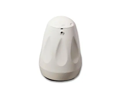 SVS Audiotechnik BWS-60W