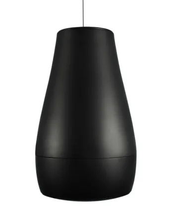 Купить BIAMP Desono P6 Black по выгодной цене в Сочи