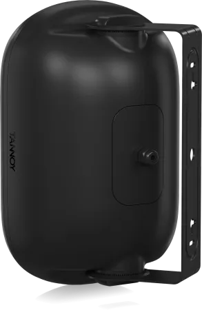 Купить Tannoy DVS 401 по выгодной цене в Сочи