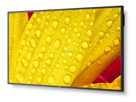 v8_666_32a v8_666_32a