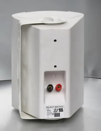 Купить SVS Audiotechnik WS-20 White по выгодной цене в Сочи