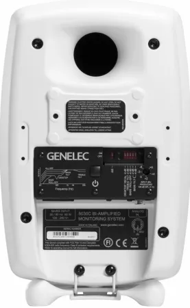 Купить Genelec 8030CW по выгодной цене в Сочи