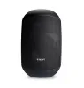 Купить BIAMP MASK6CT-BL по выгодной цене в Сочи
