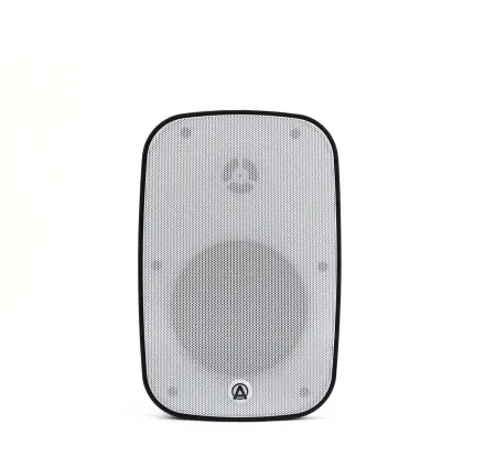 Купить AuraSonics DENSE-5T-WH по выгодной цене в Сочи