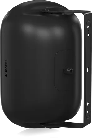 Купить Tannoy DVS 601 по выгодной цене в Сочи