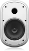 Купить Tannoy DVS 801-WH по выгодной цене в Сочи