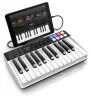 Купить IK MULTIMEDIA iRig Keys I/O 25 по выгодной цене в Сочи