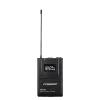 Купить Pasgao PAW-920 Rx_2x PBT-801 TxB по выгодной цене в Сочи