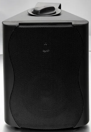 Купить SVS Audiotechnik WS-20 Black по выгодной цене в Сочи