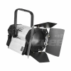 Купить ANZHEE PRO Spectrum Fresnel W 200 по выгодной цене в Сочи