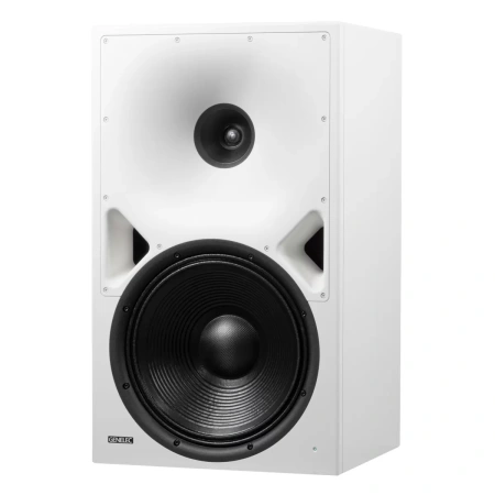 Купить Genelec 8380AW по выгодной цене в Сочи