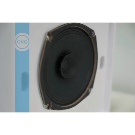 Купить CVGAUDIO WPS6T по выгодной цене в Сочи